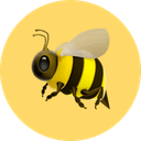 Beeve