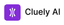 Cluely