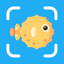 Fishpic