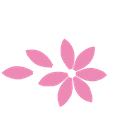 Nailva
