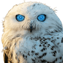 OwlAI 